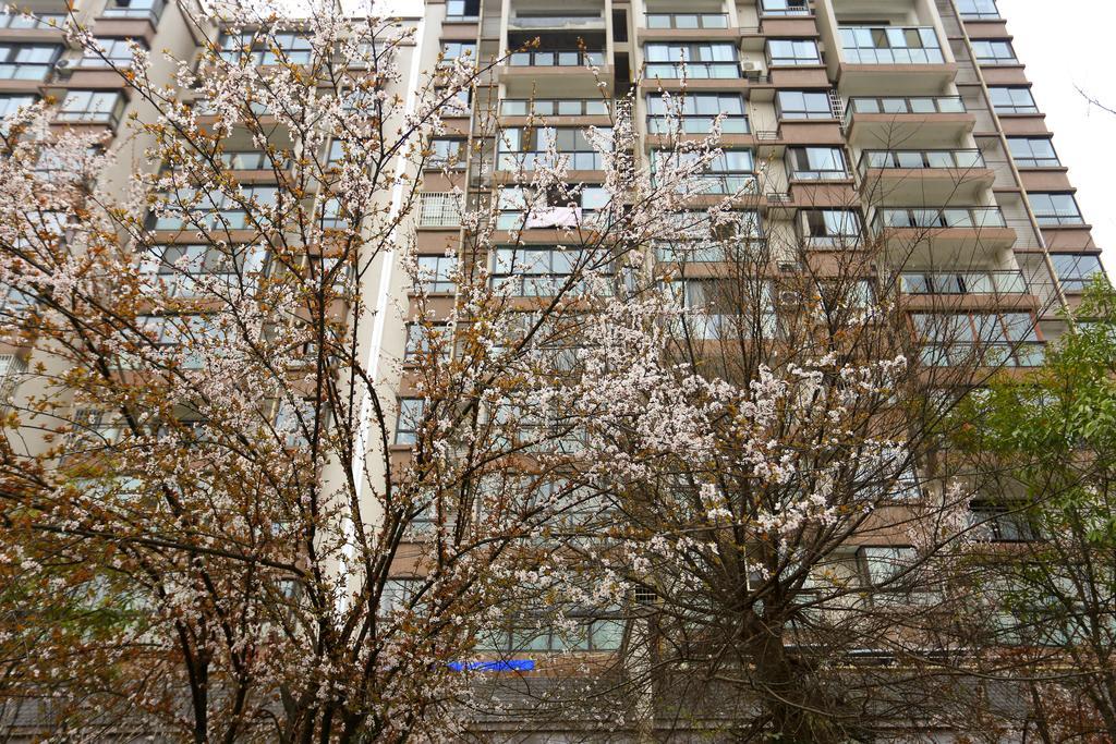 Summer Time Homestay-Jinxiu Biancheng Zhangjiajie Exterior foto